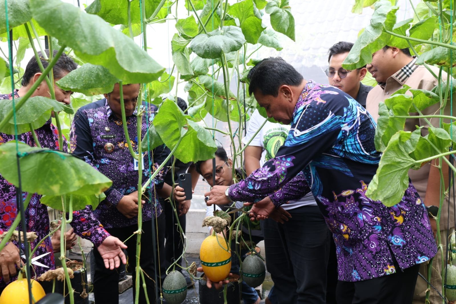 WhatsApp Image 2026-01-29 at 13.57.49