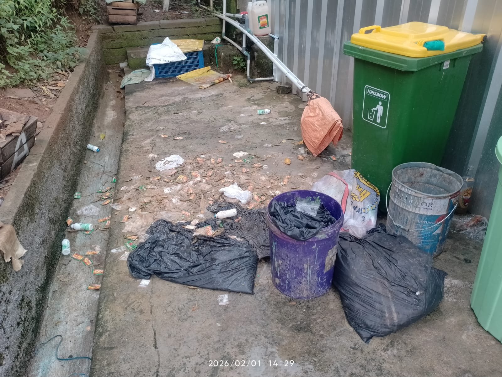 WhatsApp Image 2026-02-05 at 12.50.41