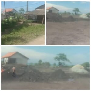 WhatsApp Image 2026-02-27 at 10.15.17